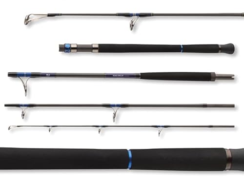 Daiwa Saltiga AP 1.70m 180-400g Daiwa Saltiga AP 1.70m 180-400g von DAIWA