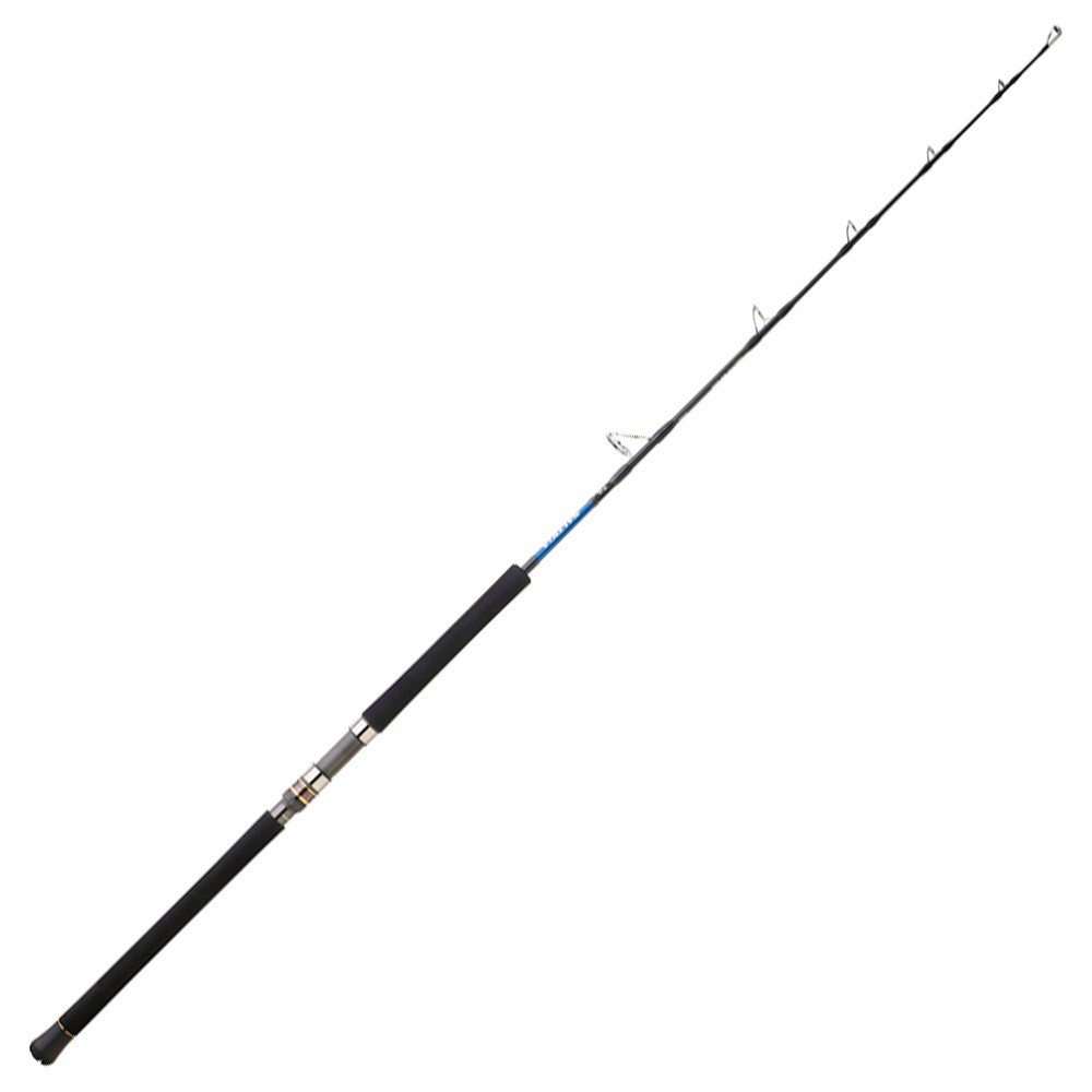 Daiwa Saltiga Deep Jigging Rod Silber 1.65 m / 100-300 g von Daiwa