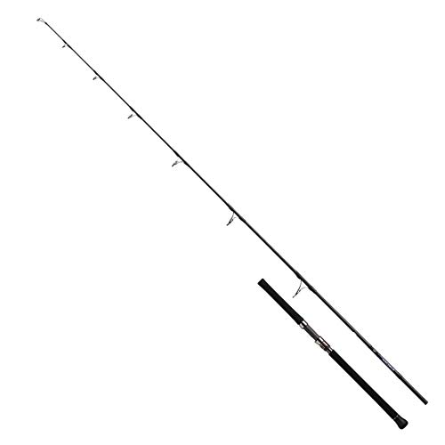 Daiwa Saltiga Gehstock 83-6 von Daiwa