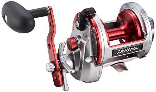 Daiwa Sealine Ishidai 40H Entoh Rechtshand Multirolle mit Zählwerk Daiwa Sealine Ishidai 40H Entoh Rechtshand Multirolle mit Zählwerk von Daiwa