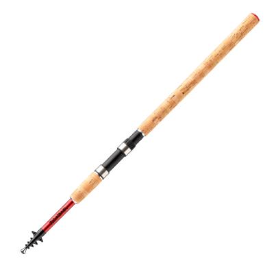 Daiwa Sweepfire Tele 2,70m 20-60g von Daiwa