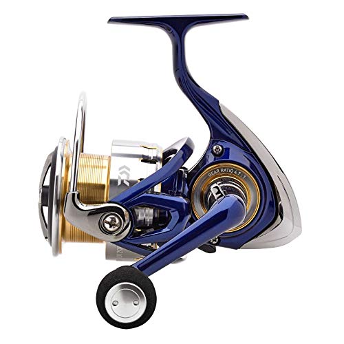 Daiwa TDR Match & Feeder 3012QD Angelrolle Daiwa TDR Match & Feeder 3012QD Angelrolle von Daiwa