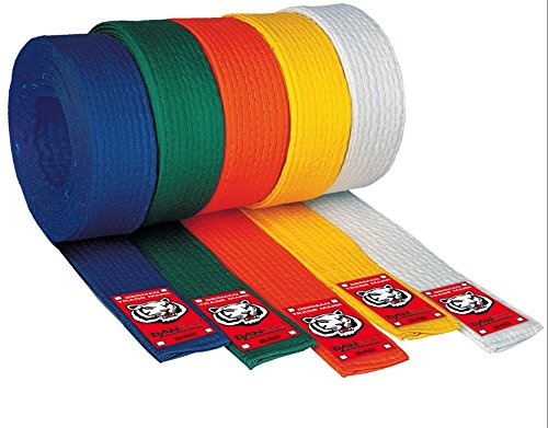 DanRho Budo Gürtel Junior 180 weiß DanRho Budo Gürtel Junior 180 weiß von DanRho