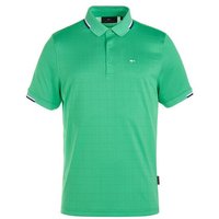 Daniel Springs Jaquard-Struktur Halbarm Polo grün Daniel Springs Jaquard-Struktur Halbarm Polo grün von Daniel Springs