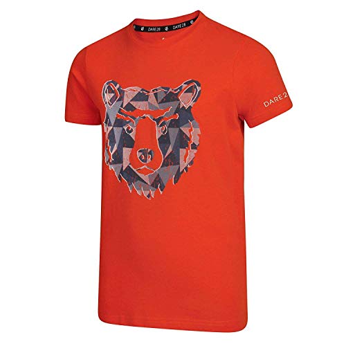 Dare 2b Junior-T-Shirt, 100% Baumwolle, Frenzy Tee, Kinder XXL Cajun Orange von Dare 2b
