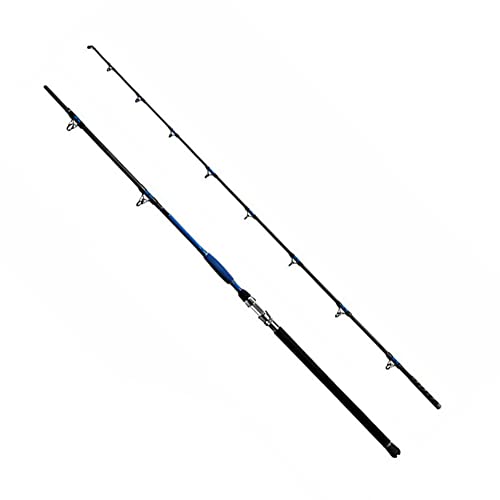 Delphin Hazard 310cm 500g Wels Angelrute Delphin Hazard 310cm 500g Wels Angelrute von Delphin