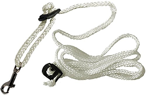 Derbystar Pendelballleine, 10 m, weiß, 4033000000 Derbystar Pendelballleine, 10 m, weiß, 4033000000 von Derbystar