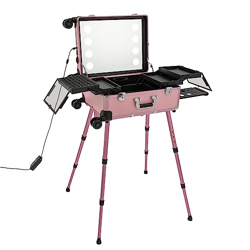 Rosa Rolling Makeup Zug Koffer, Aluminiumlegierung Trolley Salon Make-up Kosmetik Orgainzer Box Reisekoffer für Make-up-Wettbewerbe Hochzeits-Make-up-Szenarien von Dettchan