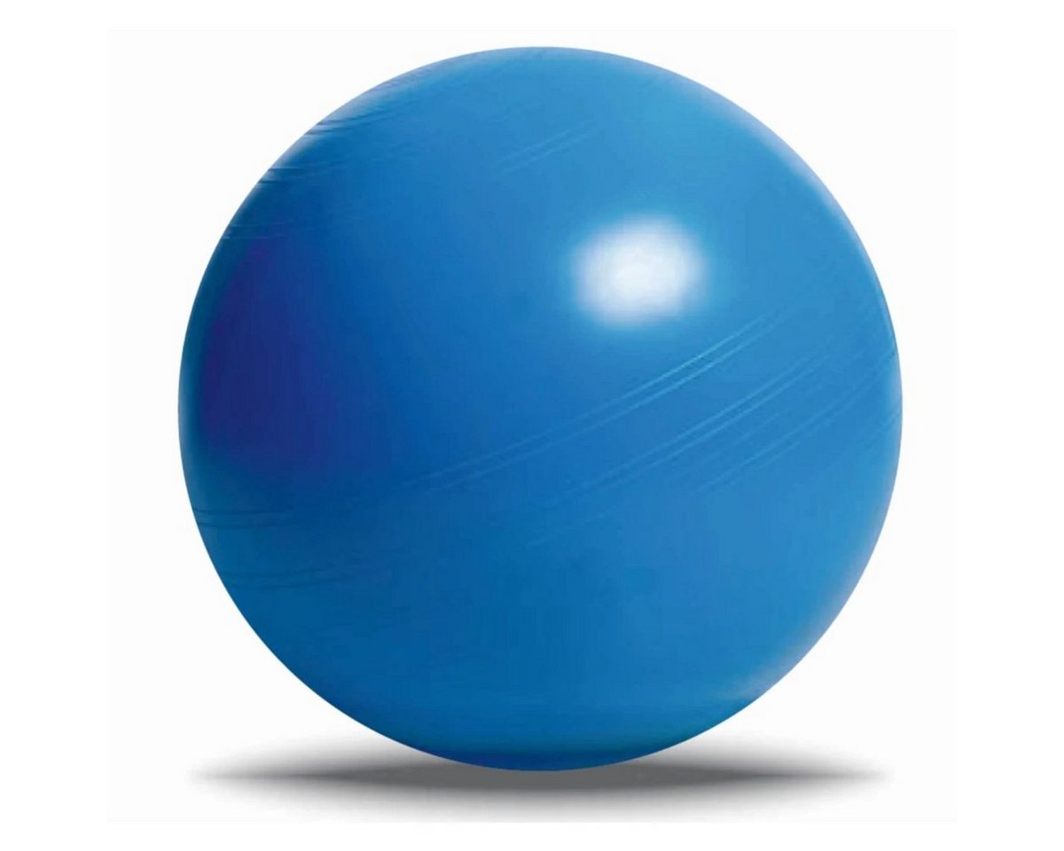 Deuser-Sports Gymnastikball Blue Ball Gymnastikball Sitzball groß Fitnessball M - 55 cm, Yogaball Balanceball - 55 cm M Deuser-Sports Gymnastikball Blue Ball Gymnastikball Sitzball groß Fitnessball M - 55 cm, Yogaball Balanceball - 55 cm M von Deuser-Sports