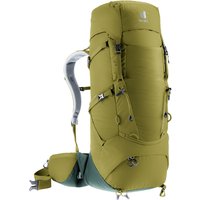 Deuter Aircontact Core 40 10 Cactus/Ivy Deuter Aircontact Core 40 10 Cactus/Ivy von Deuter