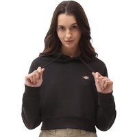 Dickies Oakport Cropped Black von Dickies