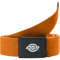 Dickies Orcutt Webbing Belt Golden Ochre von Dickies