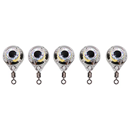 Dilwe 5 Stück LED-Angelköder, Runde Künstliche Köder, LED-Angelköder, Nacht-Angelhaken, Köder, LED-Unterwasser-Angelköder Zum Anlocken von Fischen Dilwe 5 Stück LED-Angelköder, Runde Künstliche Köder, LED-Angelköder, Nacht-Angelhaken, Köder, LED-Unterwasser-Angelköder Zum Anlocken von Fischen von Dilwe