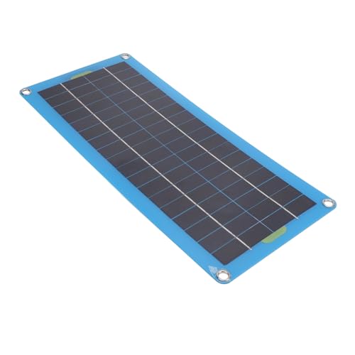 Dilwe Solarpanel, 30 W, Wasserdichtes, Hitzebeständiges Solarpanel-Ladegerät-Set für Geräte mit Geringem Stromverbrauch von Dilwe