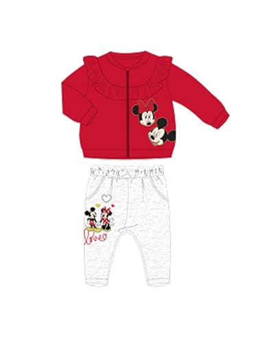 Disney 2 Teiliges Set Pullover + Hose Babys (3 bis 23 Monate) Minnie Weich süß warm Sweatshirt + Jogger Mädchen Jungen Modell Gemischtem Aufdruck DIS MF 5112C434-S1-12M von Disney