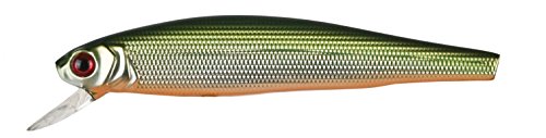 Doiyo Unisex – Erwachsene 10C4039507123192C10 Iron Claw Doiy-Wobbler Yaseta 88 Farbe GS, Bunt, Normal Doiyo Unisex – Erwachsene 10C4039507123192C10 Iron Claw Doiy-Wobbler Yaseta 88 Farbe GS, Bunt, Normal von Sensitec