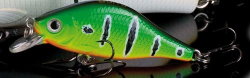 Doiyo Unisex – Erwachsene 10C4039507138462C10 Doiy-Wobbler Yuragu 52 Hiratai Farbe BG, Bunt, Normal Doiyo Unisex – Erwachsene 10C4039507138462C10 Doiy-Wobbler Yuragu 52 Hiratai Farbe BG, Bunt, Normal von Doiyo