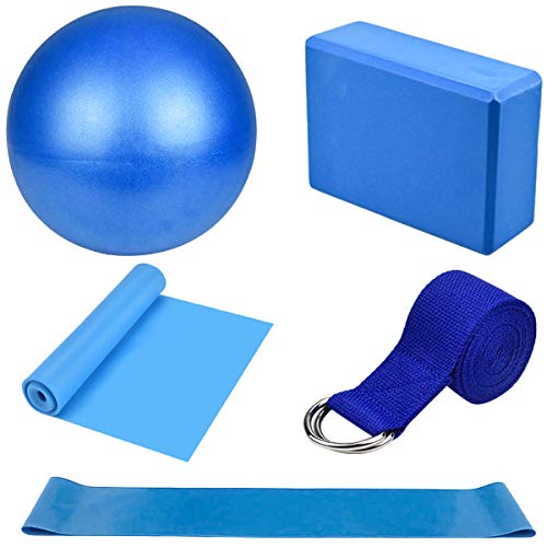 Yoga Fitnessband 5er-Set Gymnastikband Lang Theraband Dehnen und Stretching Pilates Ball Klein Yoga Gurt Sportbänder Gymnastikball Set für Crossfit, Muskelaufbau,Yoga,Pilates Männer/Frauen (Blau) Yoga Fitnessband 5er-Set Gymnastikband Lang Theraband Dehnen und Stretching Pilates Ball Klein Yoga Gurt Sportbänder Gymnastikball Set für Crossfit, Muskelaufbau,Yoga,Pilates Männer/Frauen (Blau) von Dokpav