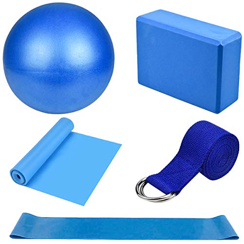 Yoga Fitnessband 5er-Set Gymnastikband Lang Theraband Dehnen und Stretching Pilates Ball Klein Yoga Gurt Sportbänder Gymnastikball Set für Crossfit, Muskelaufbau,Yoga,Pilates Männer/Frauen (Blau) von Dokpav