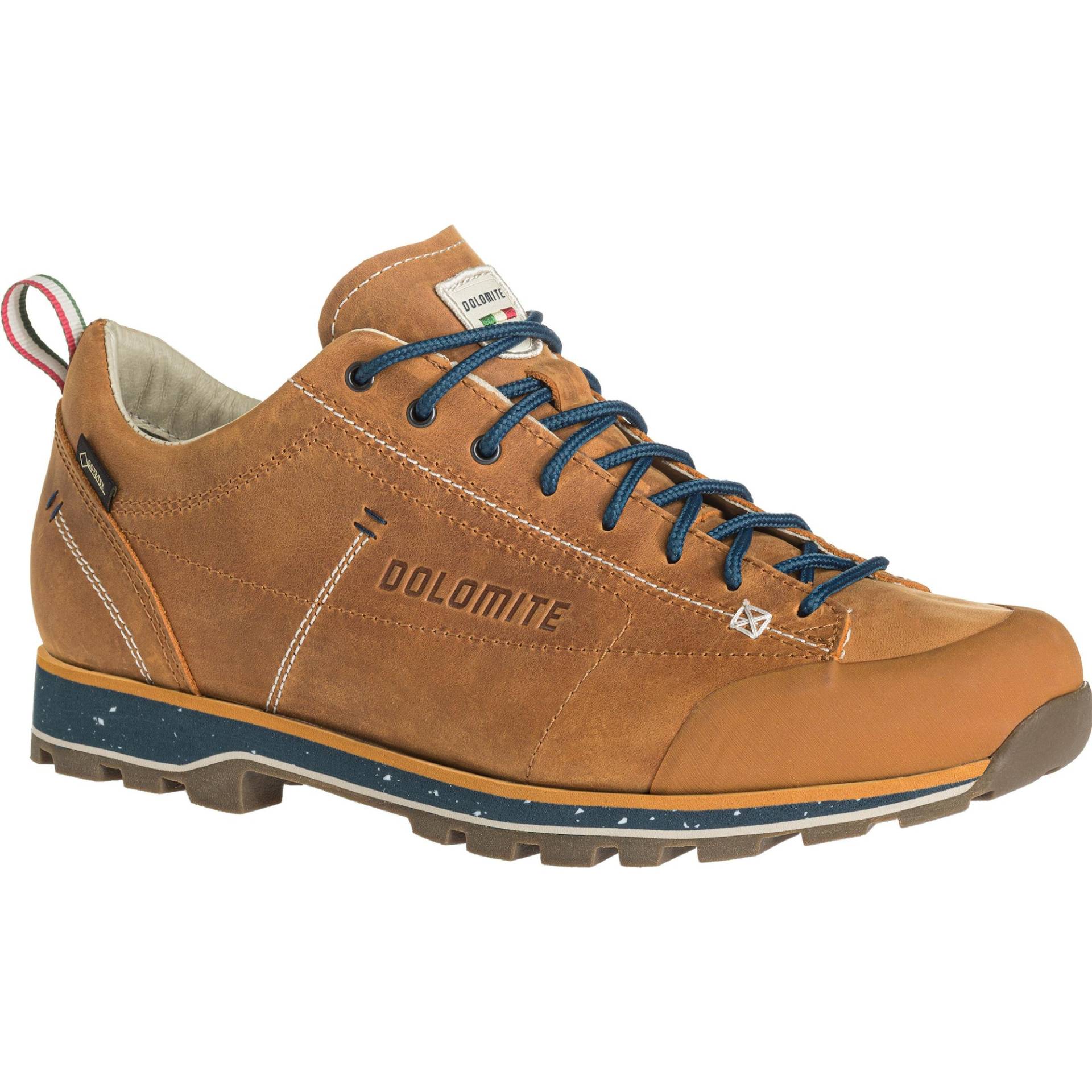 Dolomite, Unisex, Wanderschuhe, 54 Low FG Evo GORE-TEX (44.5), Braun von Dolomite