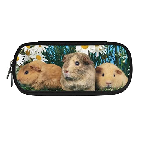 Dolyues Federmäppchen, großes Fassungsvermögen, für Jungen, Mädchen, Stifteetui, Tasche, Halter mit Fächern, Meerschweinchen, Taschen-Organizer von Dolyues