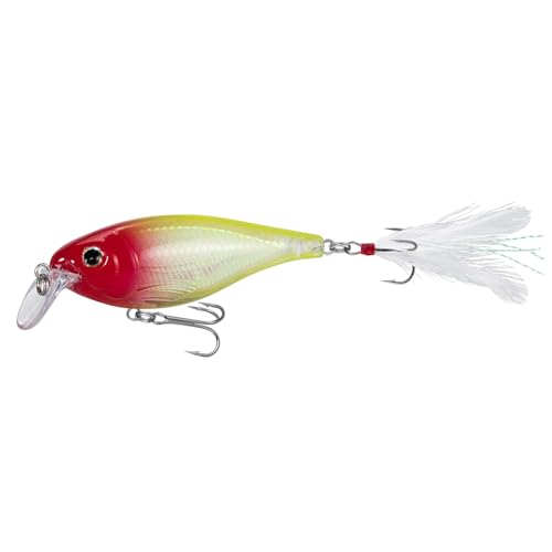 Dr.Fish Fishing Jerkbait 9,1 cm, 1/56.7 g sinkender Crankbait für Barschangeln, Elritze, harte Köder-Set, Hahnschwanz, Angelköder, Shad Minnow Swimbait lebensechte Zander, Hecht, Süßwasser, von Dr.Fish