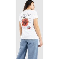 Dravus The Flower T-Shirt white Dravus The Flower T-Shirt white von Dravus