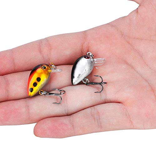 Dwawoo 10 Stücke Angelköder Set, Kleine Fischköder Set mit Haken Angelausrüstung Künstliche Kunststoff Lockt Lebensechte Swimbait mit Box für Süßwasser Salzwasser Fischen Dwawoo 10 Stücke Angelköder Set, Kleine Fischköder Set mit Haken Angelausrüstung Künstliche Kunststoff Lockt Lebensechte Swimbait mit Box für Süßwasser Salzwasser Fischen von Dwawoo