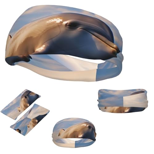 Sport-Stirnbänder für Herren und Damen, Sportschweißband, niedliches Delfin-Haarband, feuchtigkeitsableitende Stirnbänder von Dwrepo