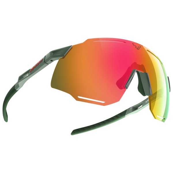 Dynafit - Alpine Evo Sunglasses - Laufbrille sage von Dynafit