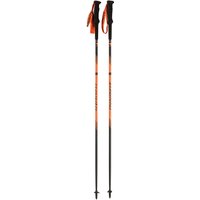 Dynafit Alpine Pole Stock Dynafit Alpine Pole Stock von Dynafit