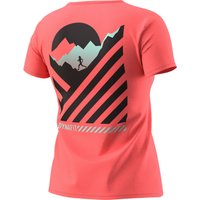 Dynafit Damen 24/7 Graphic T-Shirt Dynafit Damen 24/7 Graphic T-Shirt von Dynafit