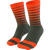Dynafit Live To Ride Socken Dynafit Live To Ride Socken von Dynafit