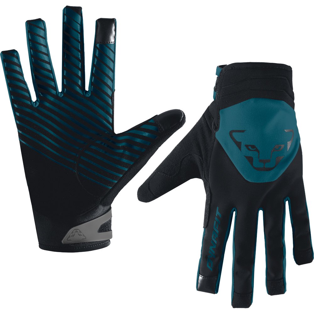 Dynafit Radical 2 Softshell Gloves Blau L Mann von Dynafit