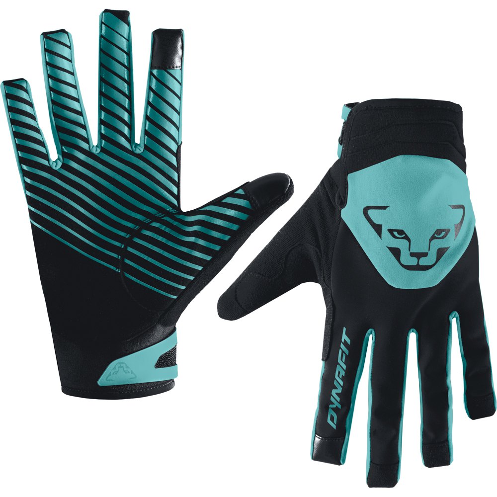 Dynafit Radical 2 Softshell Gloves Blau XS Mann Dynafit Radical 2 Softshell Gloves Blau XS Mann von Dynafit