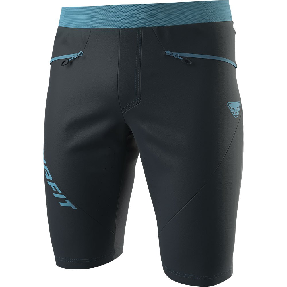 Dynafit Traverse Dynastretch Shorts Grau L Mann Dynafit Traverse Dynastretch Shorts Grau L Mann von Dynafit