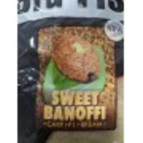 Dynamite Baits Big Fish Sweet Banoffi 1.8kg Grundfutter von Dynamite