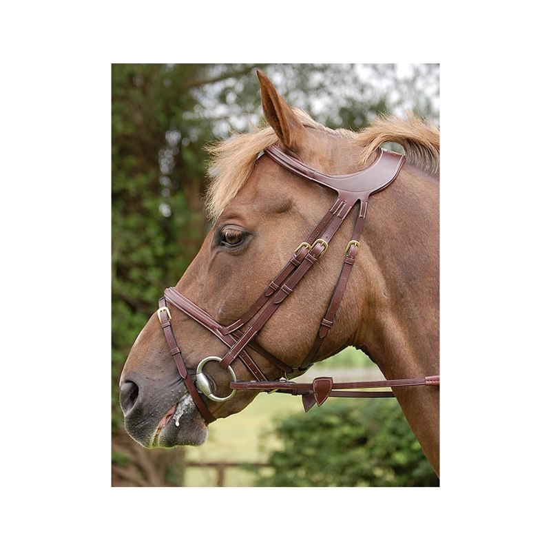 Dyon DCollection Trense Difference anatomisch Dyon DCollection Trense Difference anatomisch von Dyon