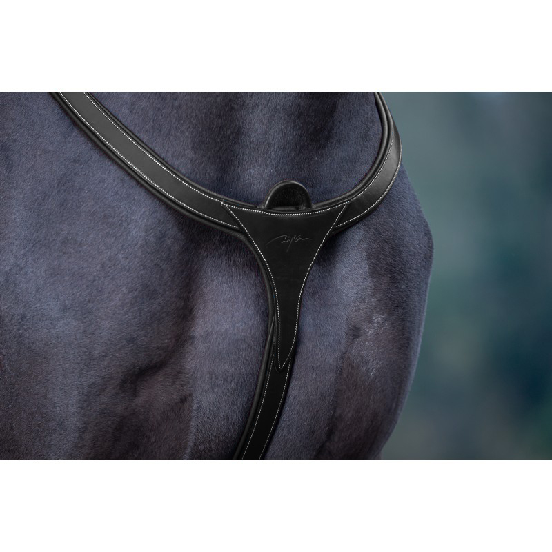 Dyon DCollection Vorderzeug Long Bridge Dyon DCollection Vorderzeug Long Bridge von Dyon