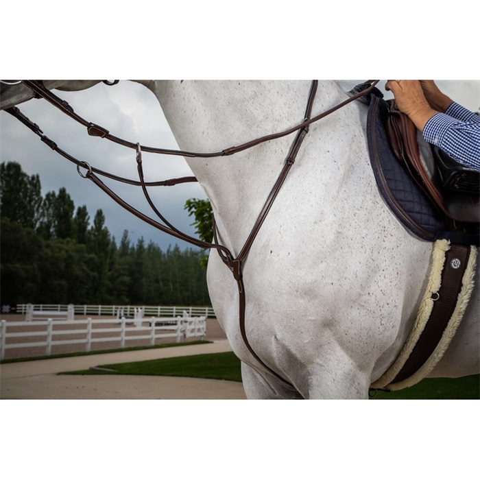 Dyon Hunter Collection Martingal Dyon Hunter Collection Martingal von Dyon
