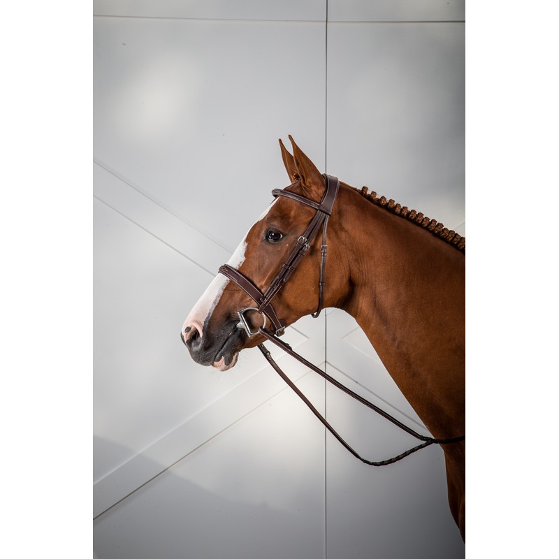 Dyon Hunter Collection Trense mit breitem Nasenriemen Dyon Hunter Collection Trense mit breitem Nasenriemen von Dyon