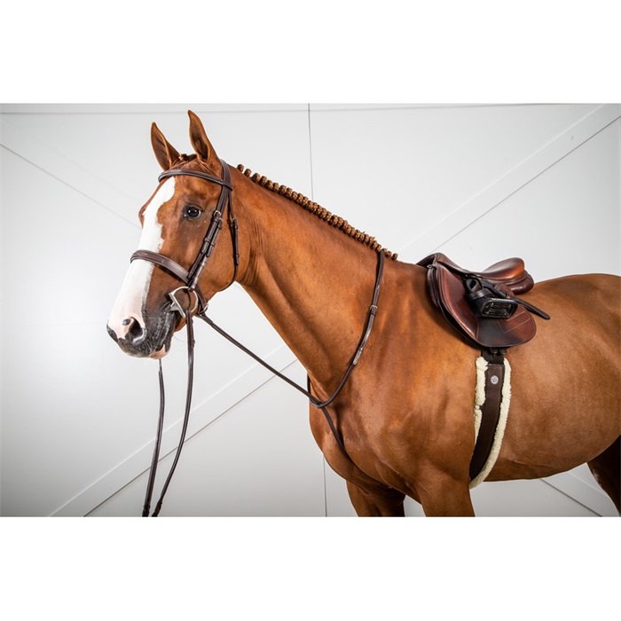 Dyon Hunter Collection festes Martingal Dyon Hunter Collection festes Martingal von Dyon
