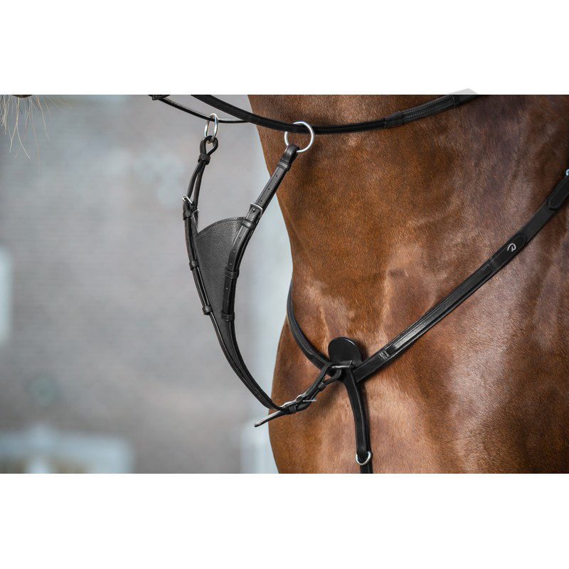 Dyon New English Collection Martingalgabel geschlossen soft Dyon New English Collection Martingalgabel geschlossen soft von Dyon