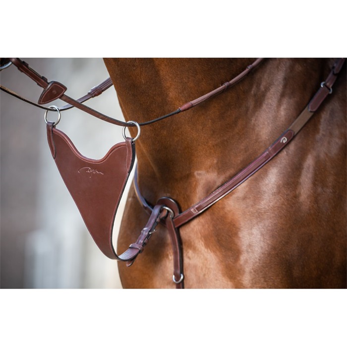 Dyon New English Collection Martingalgabel geschlossen Dyon New English Collection Martingalgabel geschlossen von Dyon