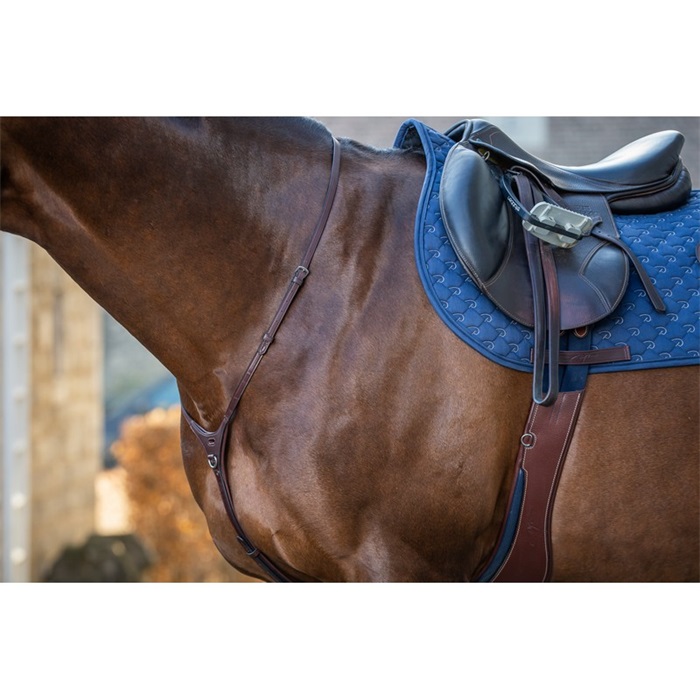 Dyon New English Collection Martingalriemen Dyon New English Collection Martingalriemen von Dyon