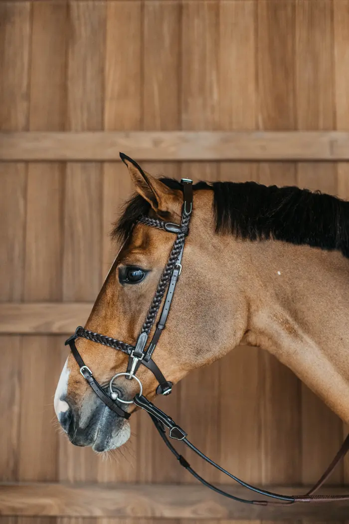 Dyon Plaited geflochtene Trainings Trense Dyon Plaited geflochtene Trainings Trense von Dyon