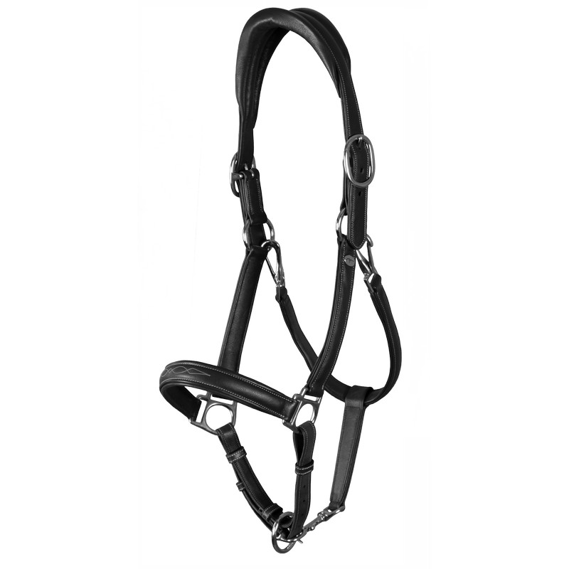 Dyon Working Collection 2 in 1 Transport u. Stallhalfter aus Leder Dyon Working Collection 2 in 1 Transport u. Stallhalfter aus Leder von Dyon
