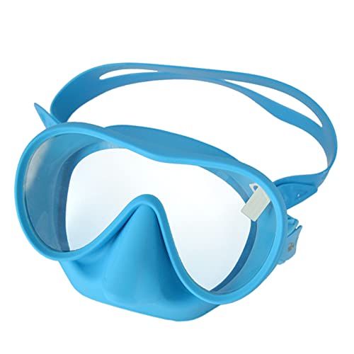 Schnorchel-Tauchmaske für Erwachsene, Anti-Beschlag-Maske aus gehärtetem Glas, Schwimmmaske mit Nasenabdeckung zum Tauchen, Schwimmmaske, Schwimmbrille für Erwachsene, mit Nasenabdeckung, von EBVincxmk