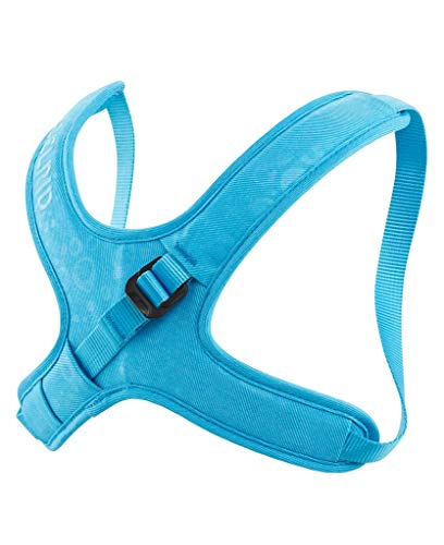 EDELRID Brustgurt Kermit II für Kinder, Farbe:icemint, Größe:XXS EDELRID Brustgurt Kermit II für Kinder, Farbe:icemint, Größe:XXS von EDELRID