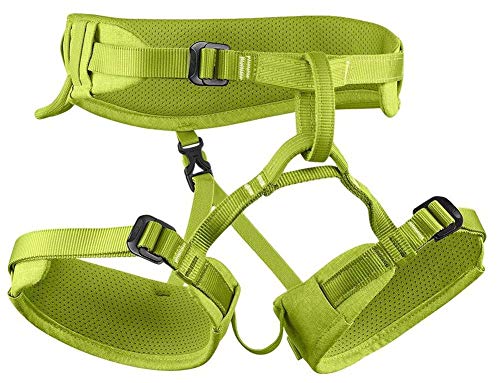 EDELRID Kinder Finn III Klettergurt, oasis, XXS von EDELRID